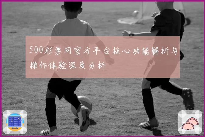 500彩票网官方平台核心功能解析与操作体验深度分析